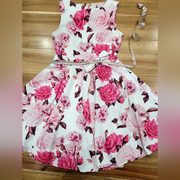 Lanny dress, Boutique 1861 sz S - Picture 5 of 6